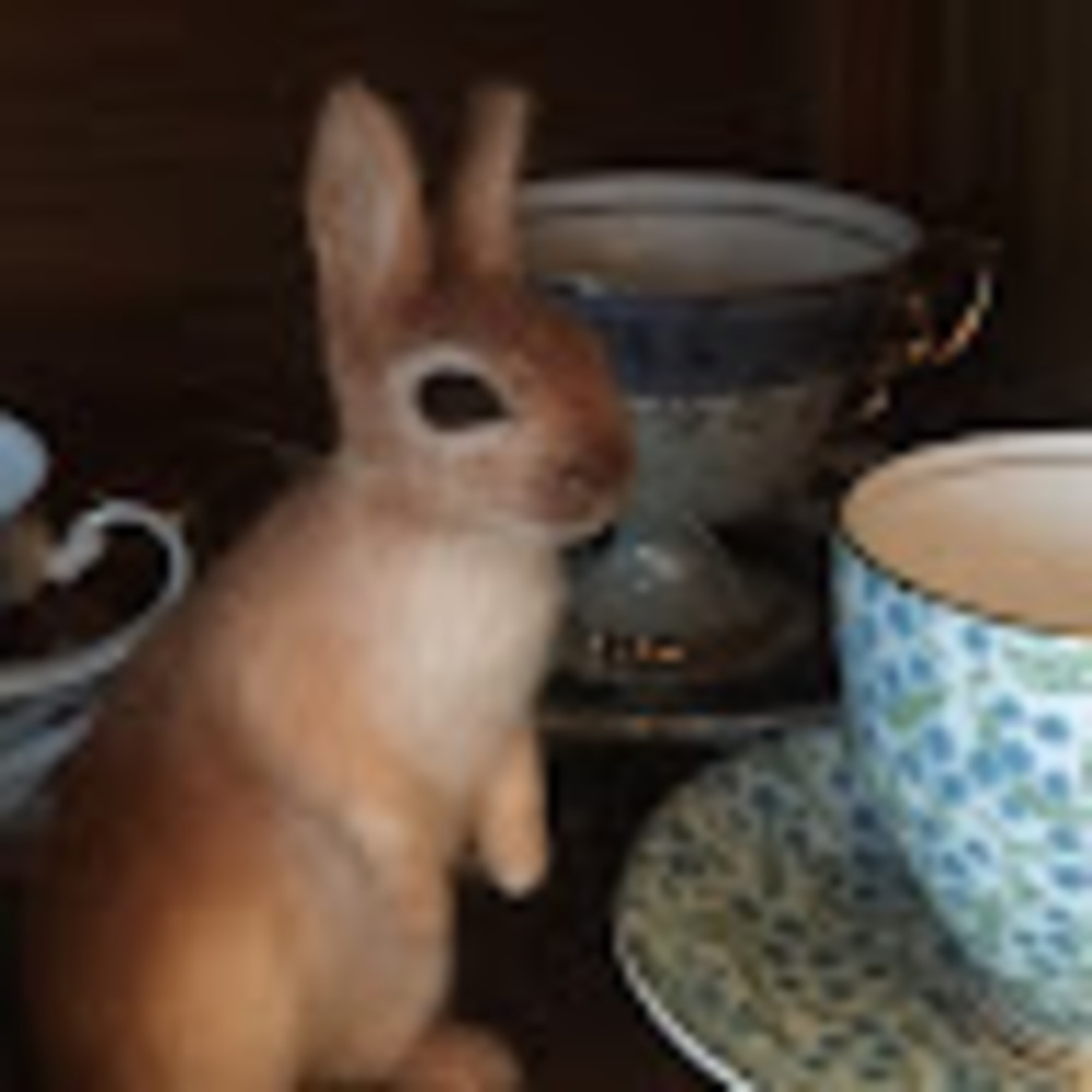 Meet your Posher, Christiane